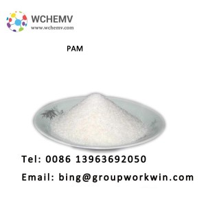 Anionic polyacrylamide with the best price